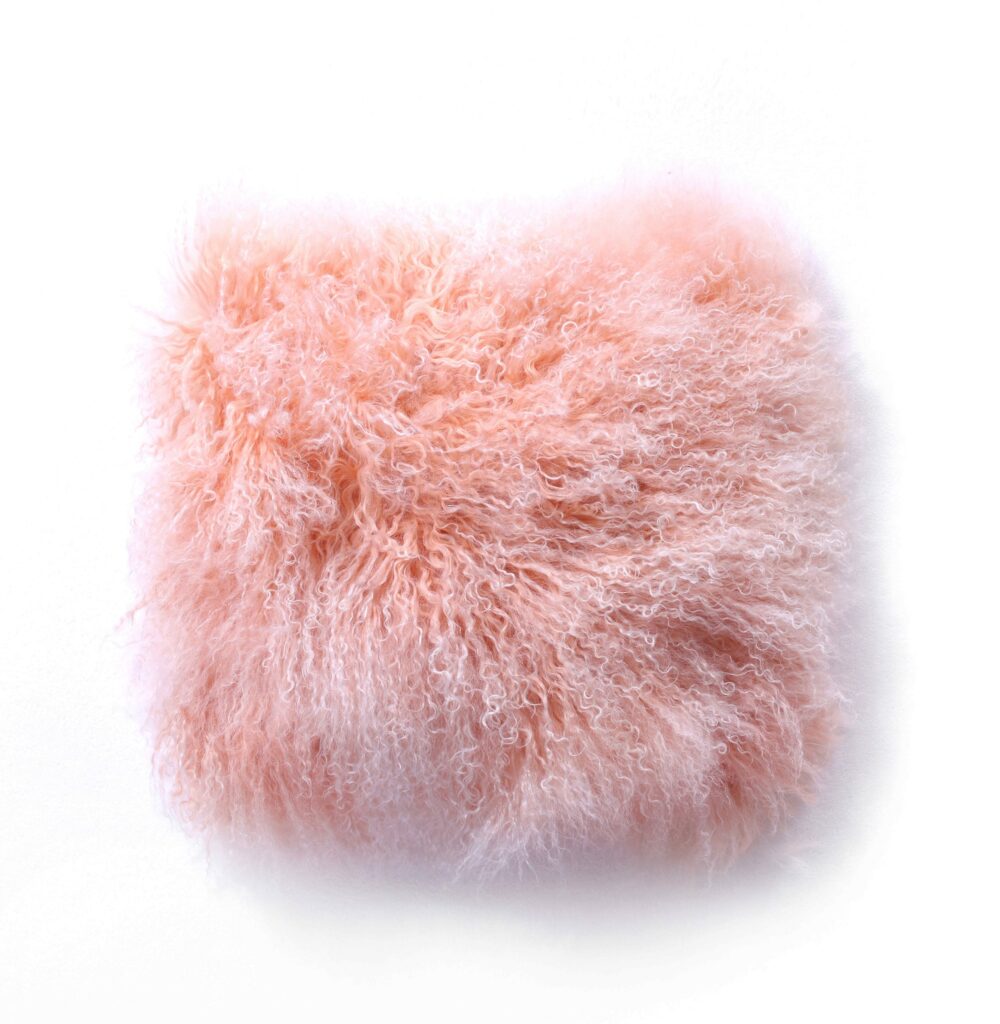 Sheep A Pillow