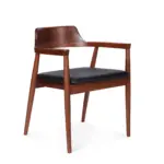 Mid-Century Modern Furniture