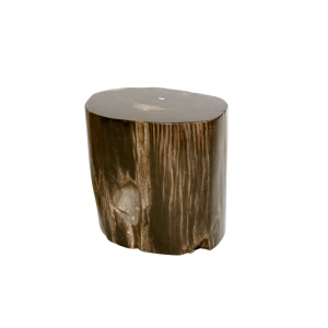 Hedra 1 side table made with fossilized
  trees turned to stone and fossilized trees turned to stone – side view